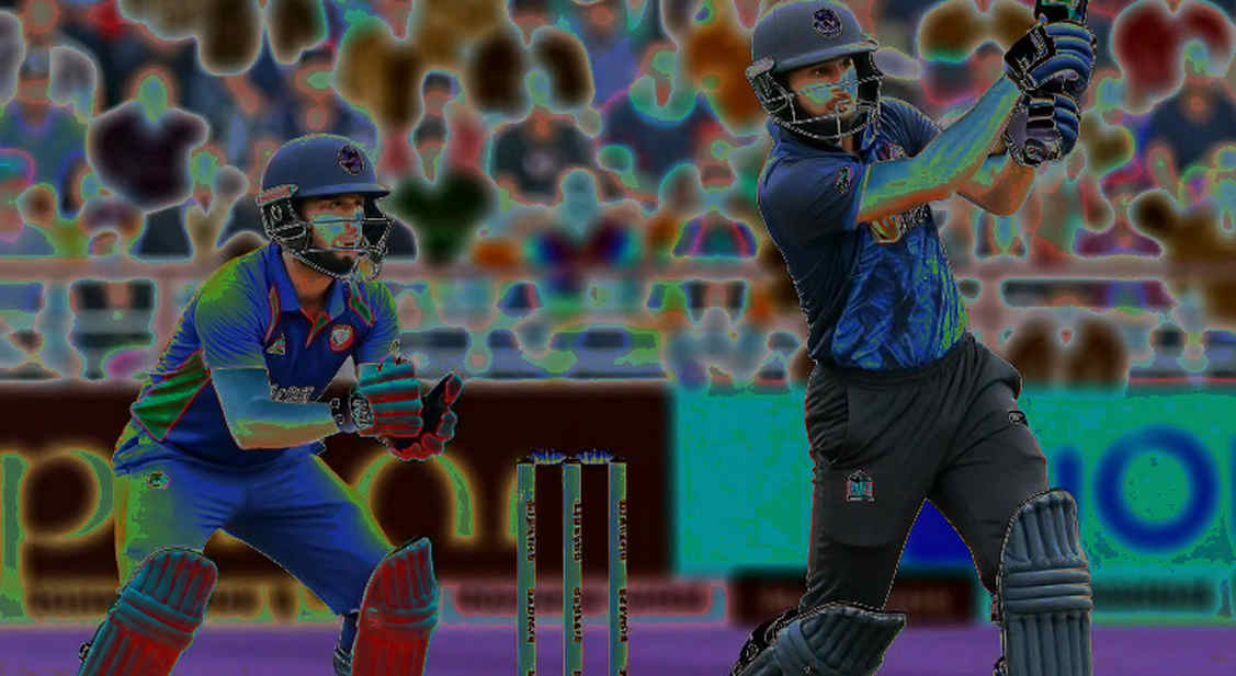 Empty Input, Complete Report: Cricket's Broken Chain of Data Belief Empty Input, Complete Report: Cricket's Broken Chain of Data Belief