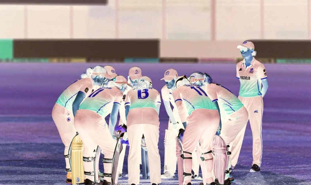 The Lesson of Null Input: Cricket Analysis's Eight Pillars and the Chain of Data Truth The Lesson of Null Input: Cricket Analysis's Eight Pillars and the Chain of Data Truth