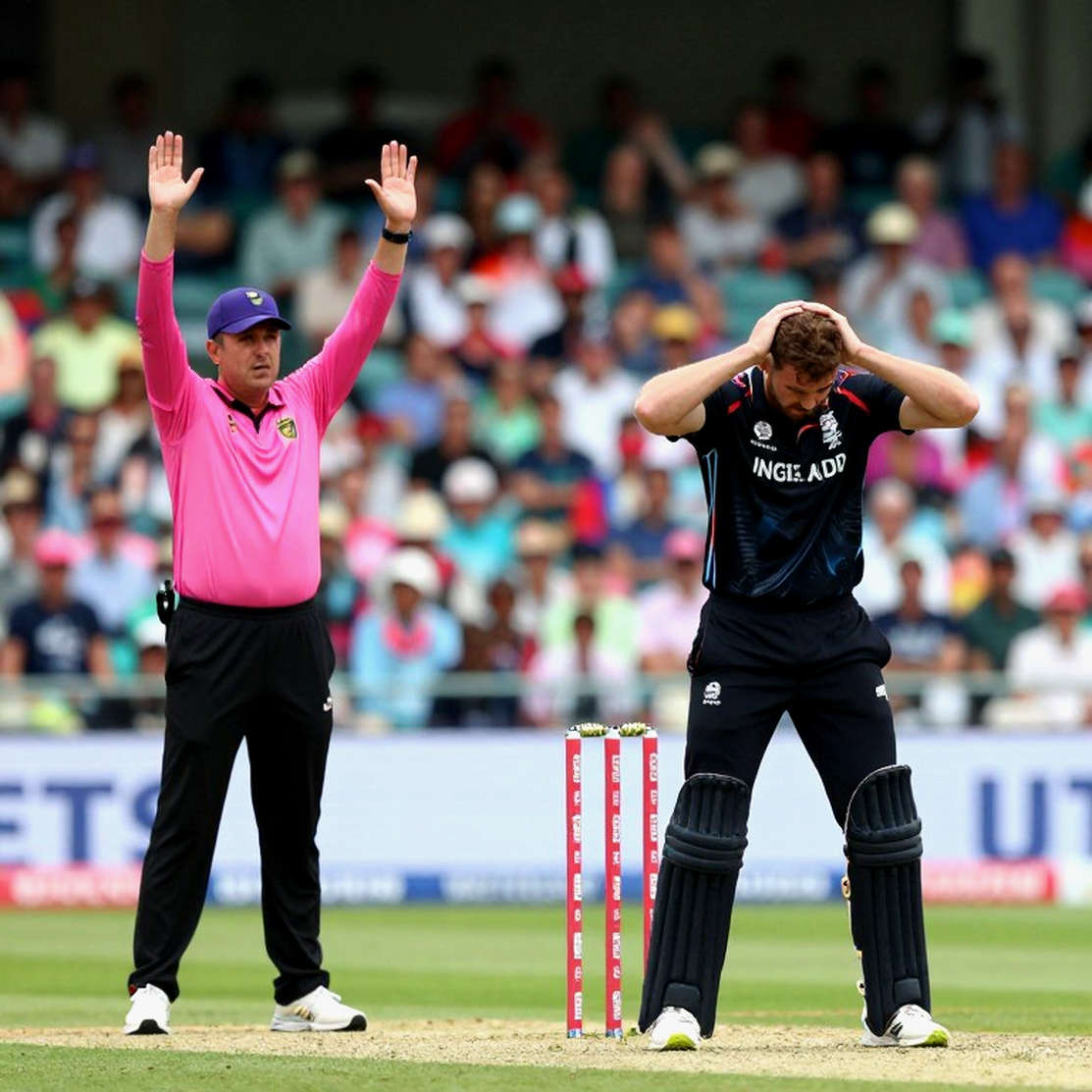The Third Umpire of Data: Cricket's Empty Frame and the Crisis of Proof The Third Umpire of Data: Cricket's Empty Frame and the Crisis of Proof